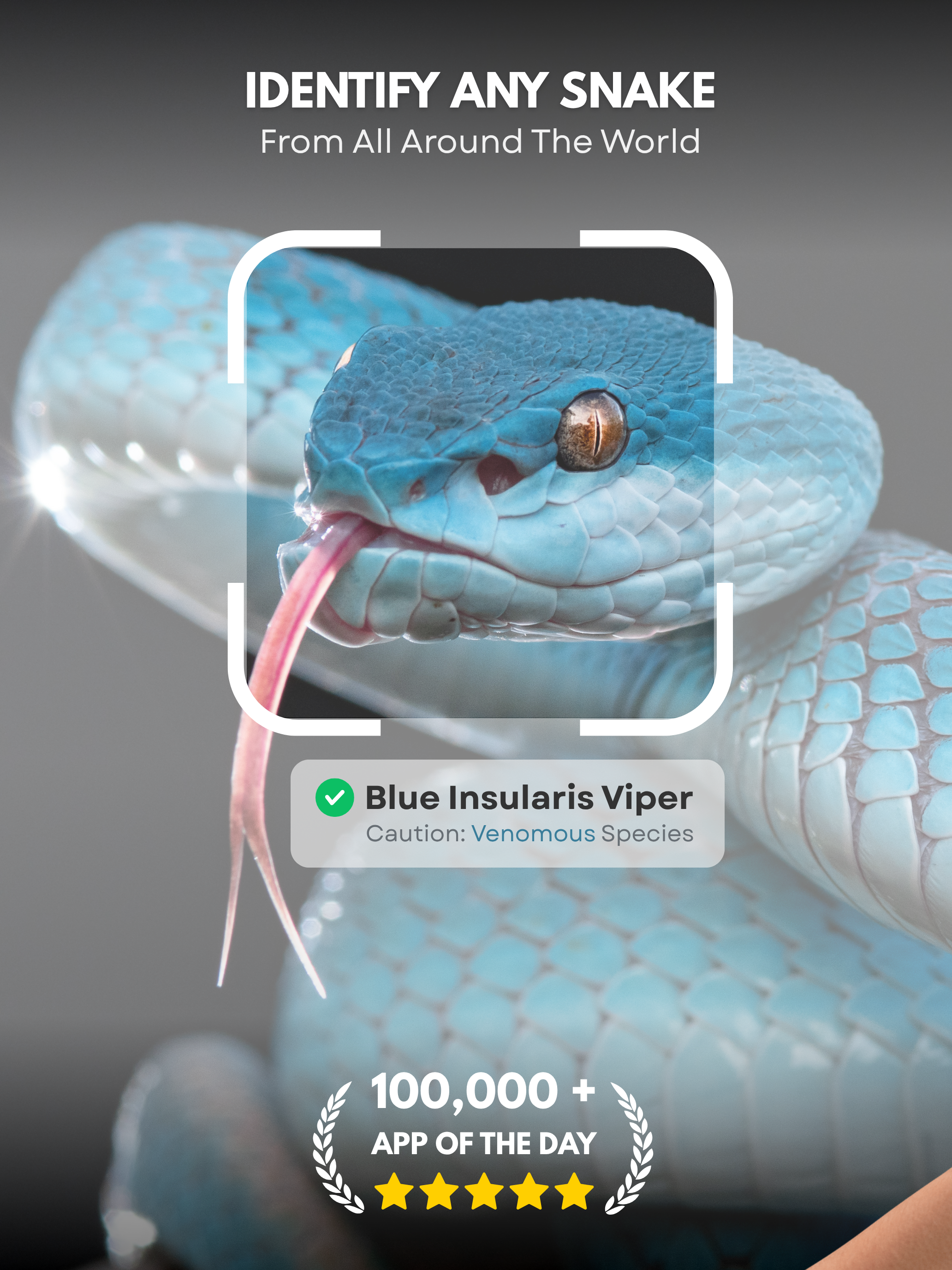 Snake Identifier : Snake ID