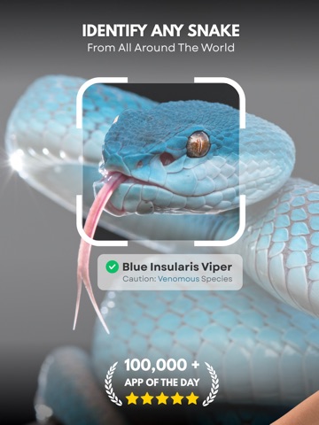Snake Identifier : Snake ID iPad screenshot