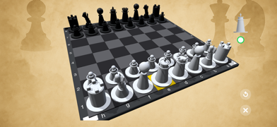 Chess4Two Screenshot 2 of 3