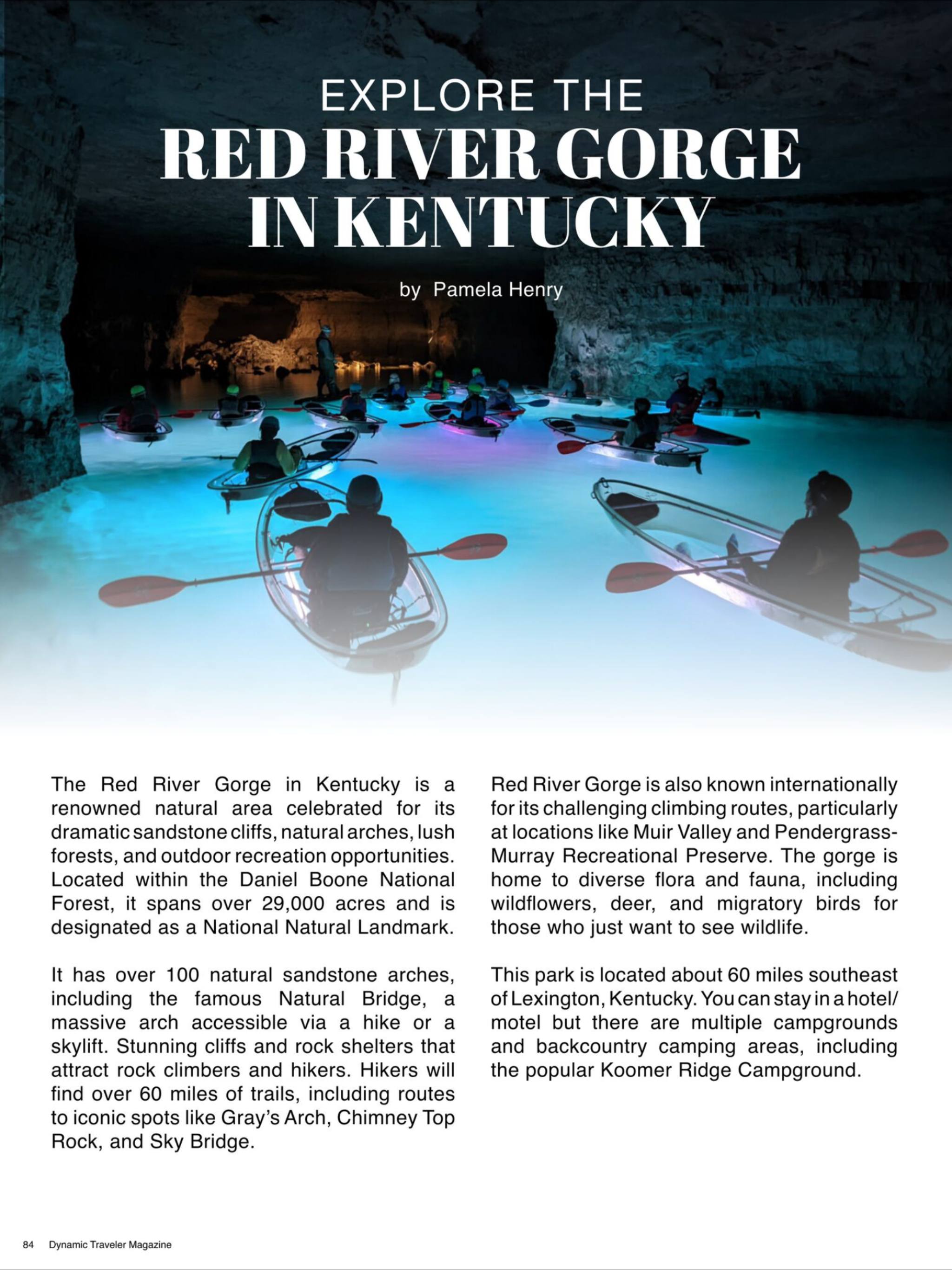 Dynamic Traveler Magazine screenshot 16