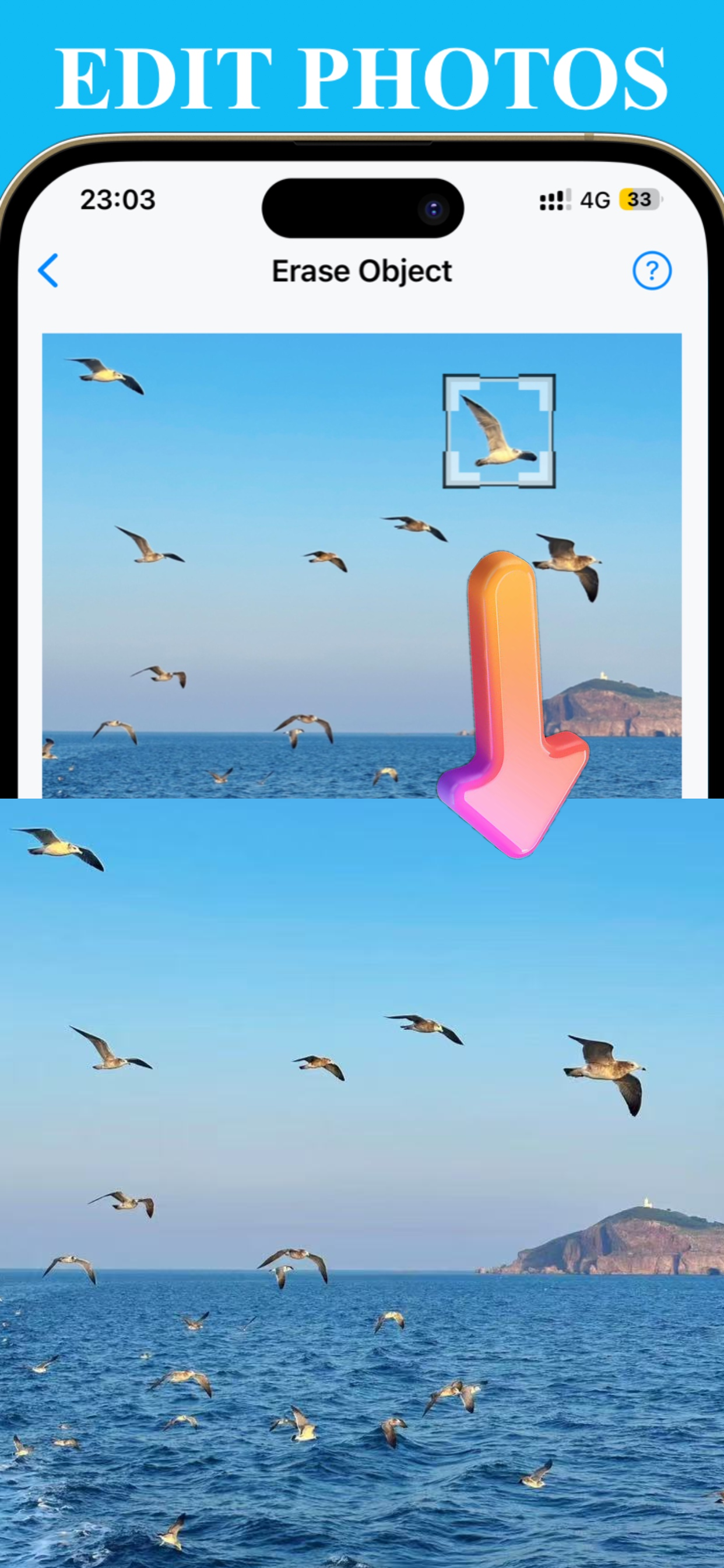 TikWatermark