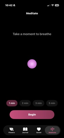 Petal Wisdom screenshot