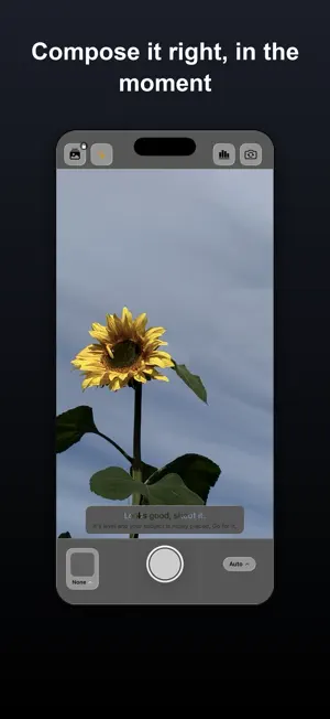 Microprism: Honest Camera screenshot 1