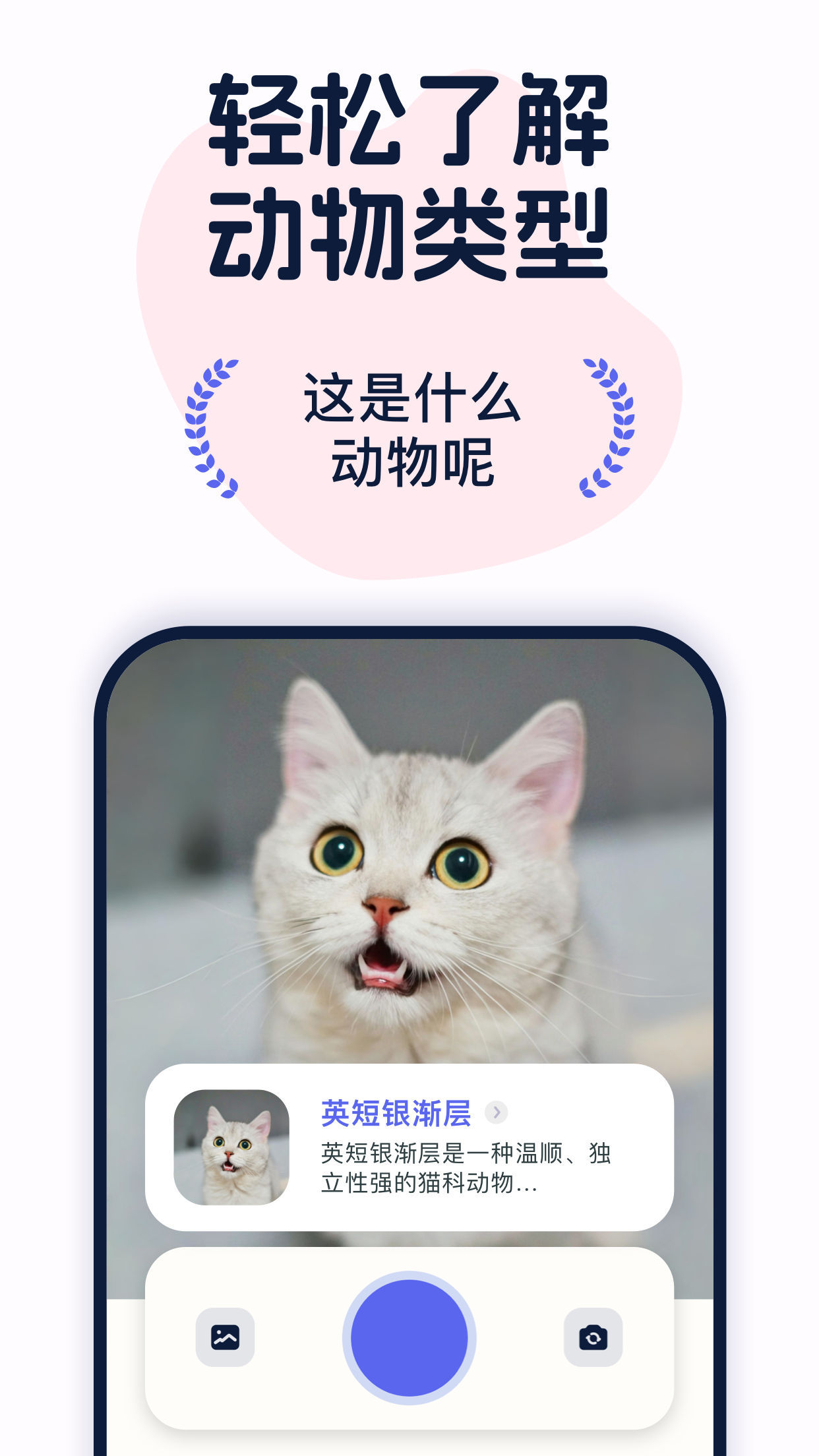 咕噜识宠-昆虫识别、动物识别
