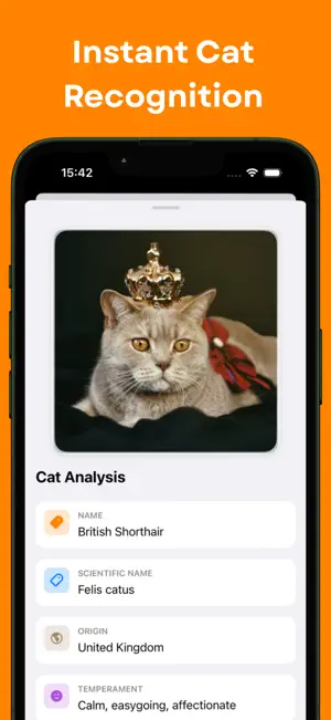 Cat Breed Identifier - AI Scan screenshot 2