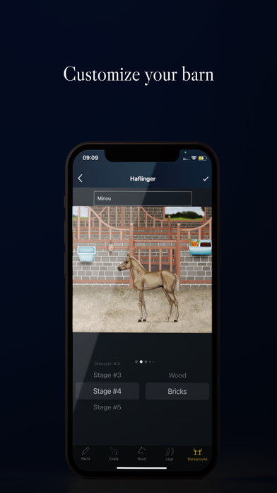 NOBLE HORSE DESIGNER Screenshot