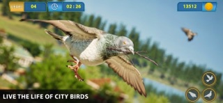Pigeon Bird Flying Games 3D screenshot