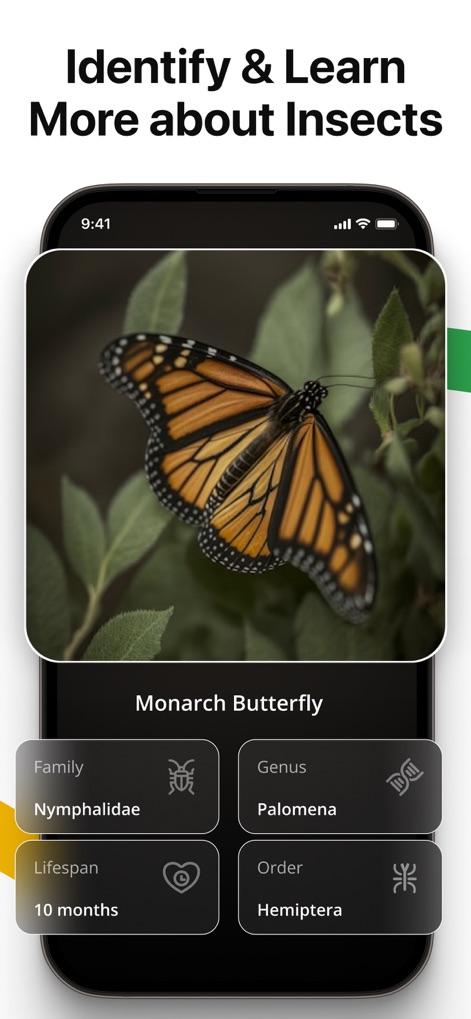 Lens AI: Identify Anything - This screen allows users to identify insects such as the Monarch butterfly, revealing its family and estimated lifespan.