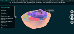Animal Cell by EduTech Era screenshot 1