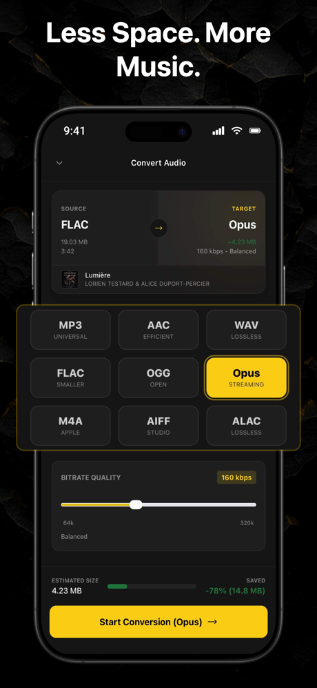 Offline FLAC MP3 Music Player screenshot 5