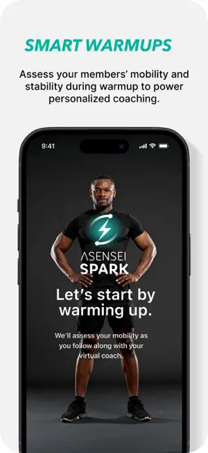 ASENSEI Spark screenshot 4