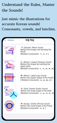 Korean Pronunciation Master Screenshot 10 of 10