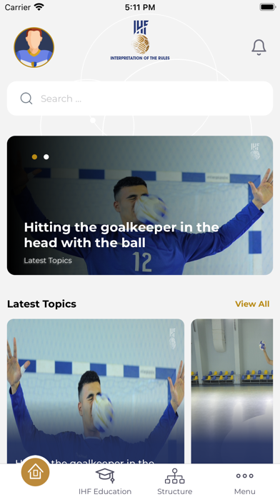 IHF Rule Interpretation Screenshot
