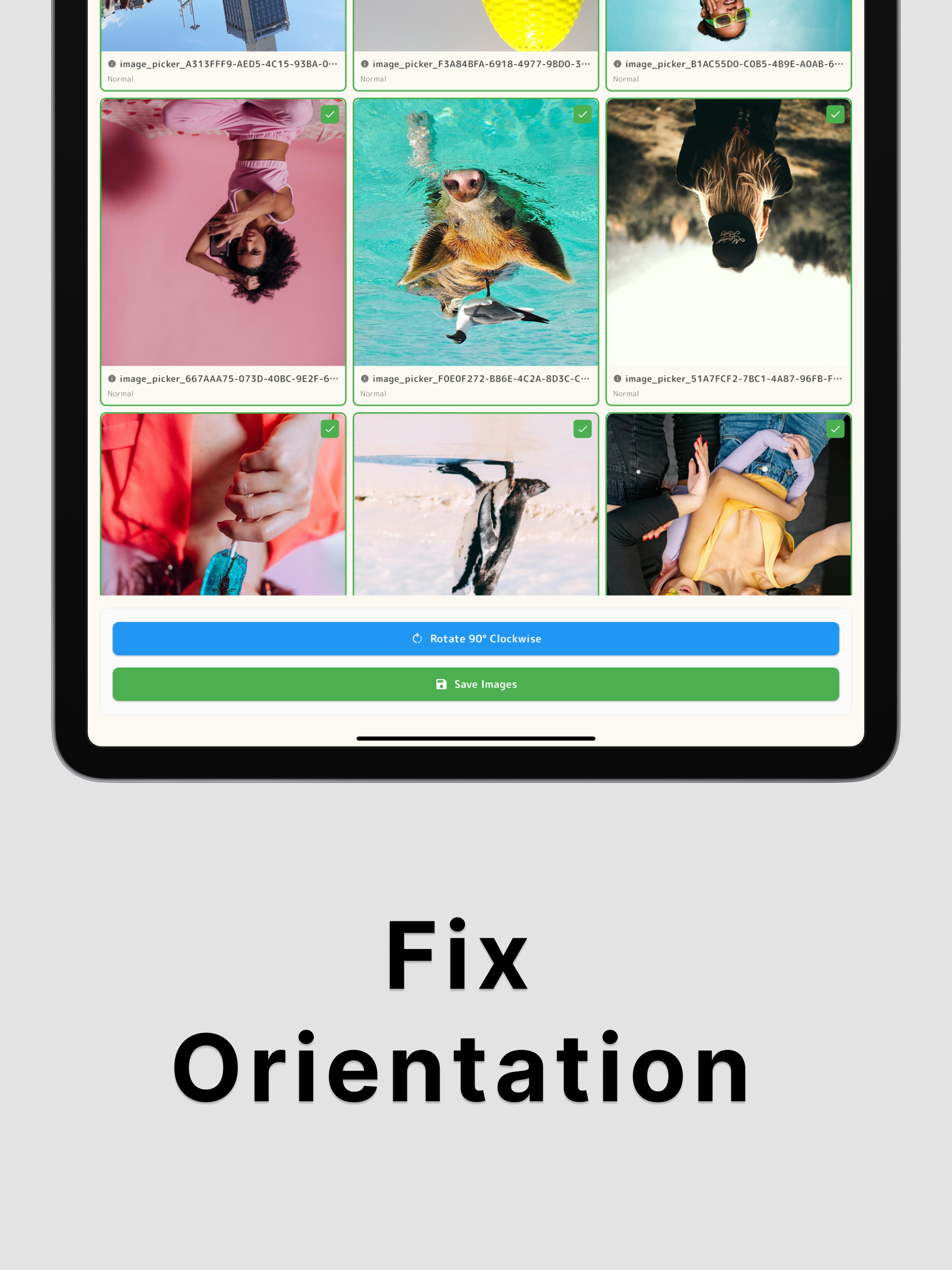 Image Rotator – Batch Photos