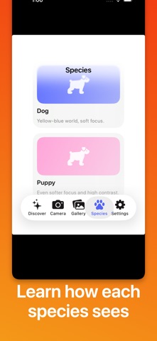 Dog Vision Simulator iPhone screenshot