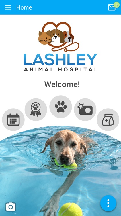 Lashley Animal Hospital