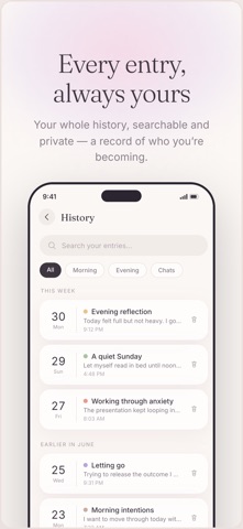 Wise Journal: AI Daily Diary Screenshot 5 of 5