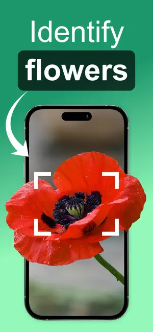 Flower Identifier: ID Scanner screenshot 1