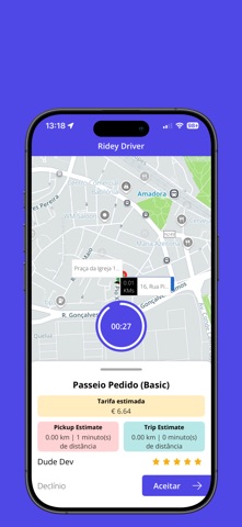 Ridey-Driver Screenshot 2 of 3