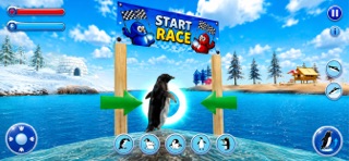 Penguin Family: Ice Survival iPhone screenshot