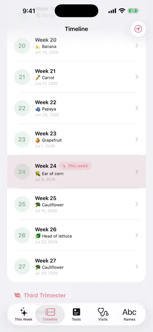 Pregnancy Week by Week Tracker screenshot 2