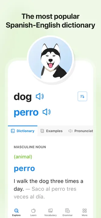 SpanishDictionary.com Learning : capture d’écran 1 sur 9