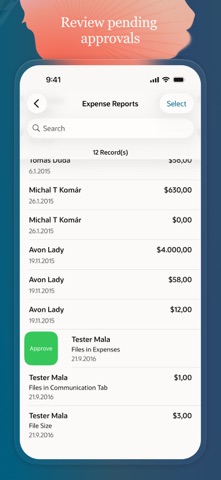 NetSuite Screenshot 5 of 6