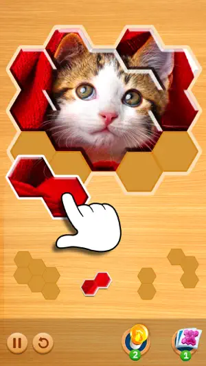 Jigsaw Puzzles Hexa Ⓞ screenshot 2