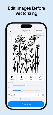 Image to Vector screenshot