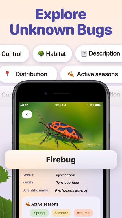 Bug ID - Insect Identifier