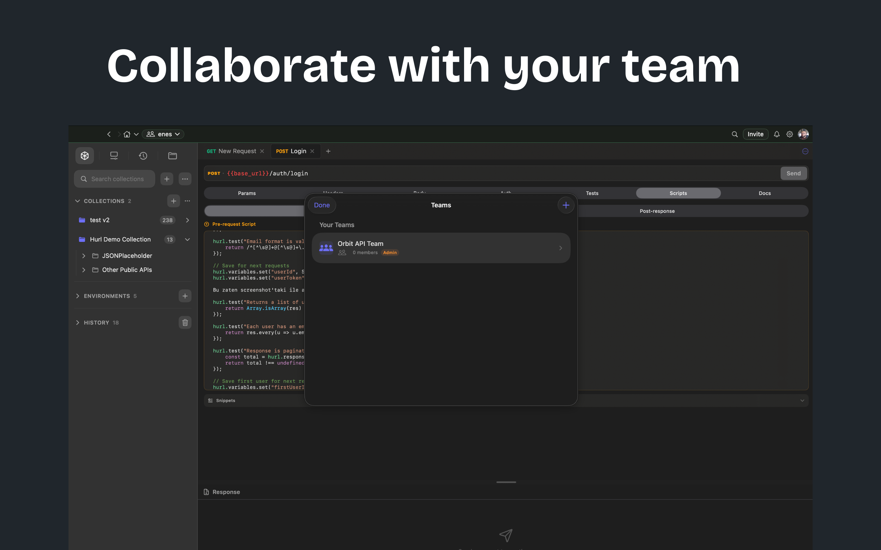 Hurl Client screenshot 13