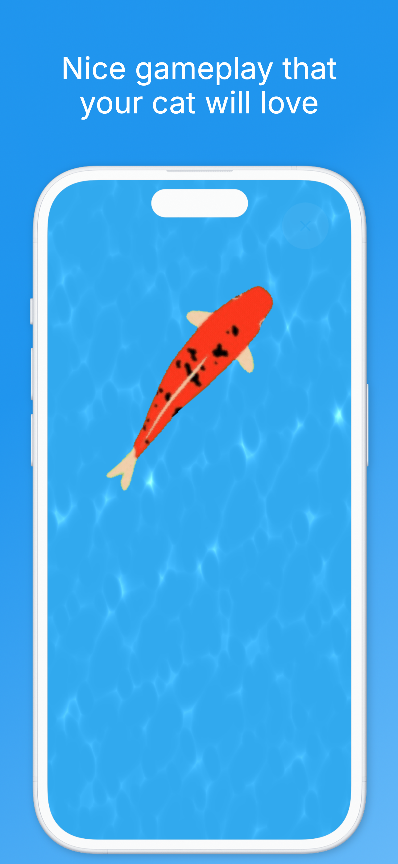 Caty - game for cats