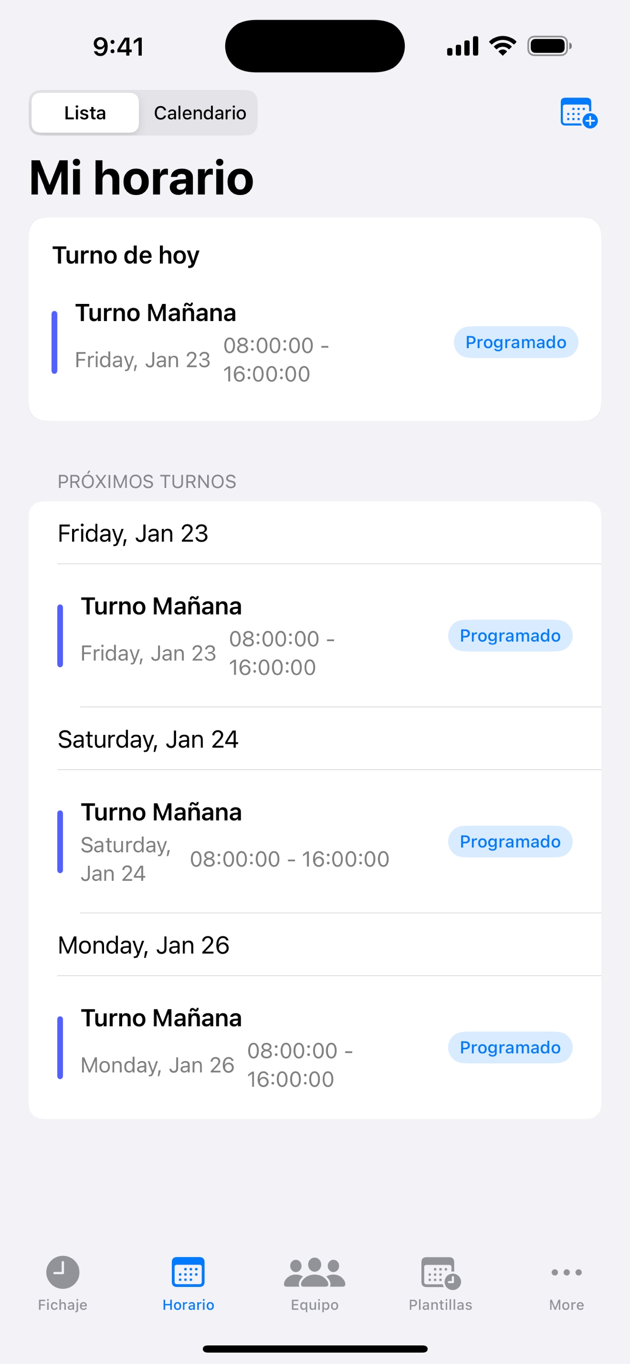 HoraTrack screenshot 8