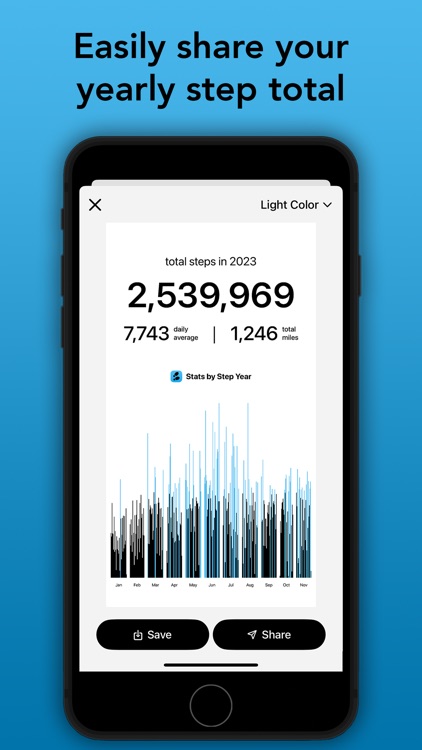 Step Year: Pedometer