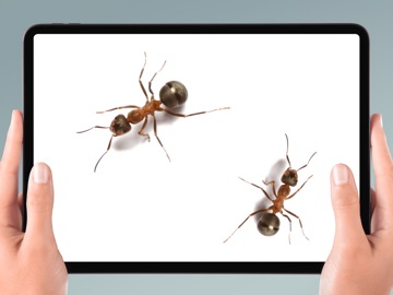 Mouse on Screen Scary Joke iPad screenshot
