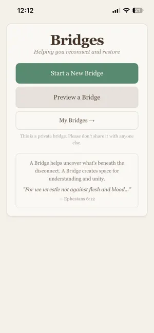 Bridges: Clear Path Back screenshot 1