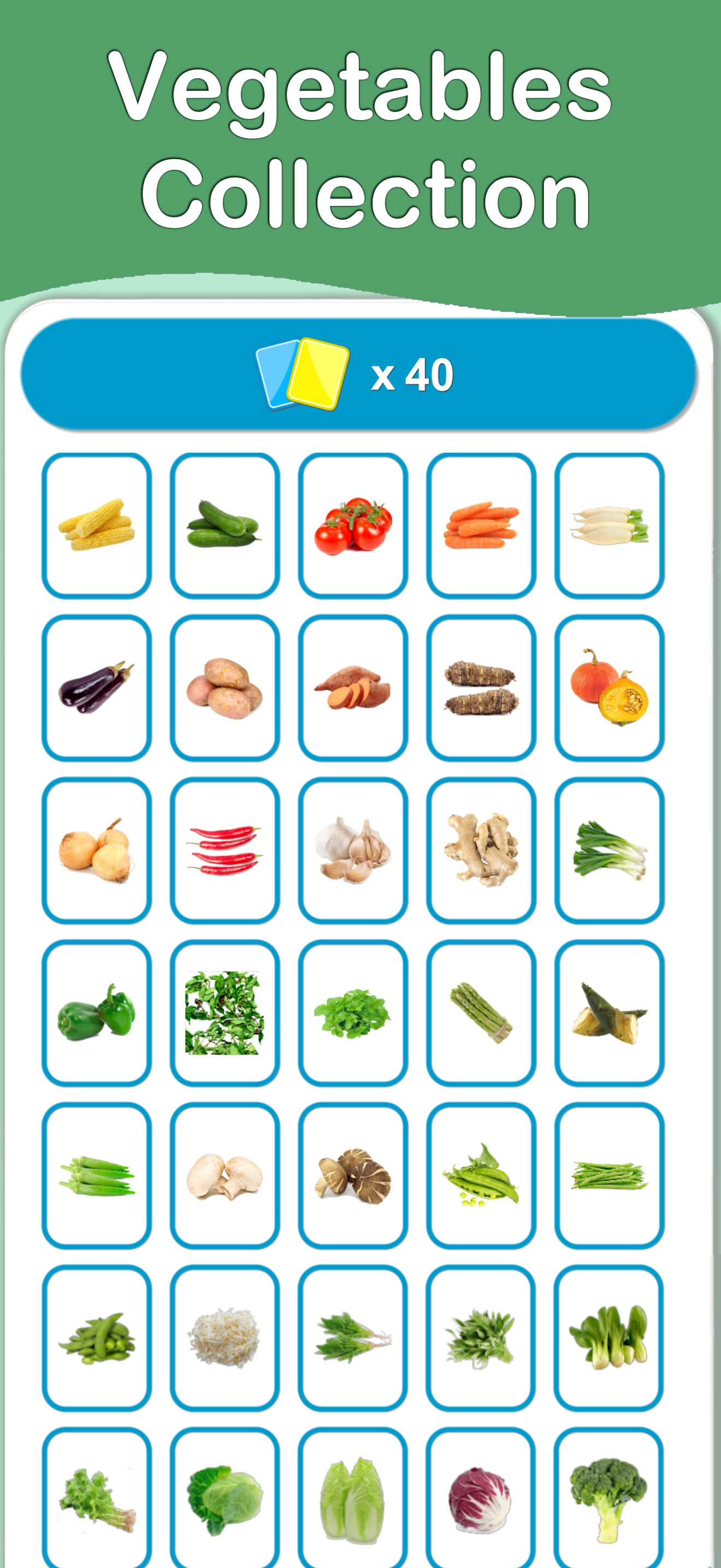 Vegetables Cards PRO