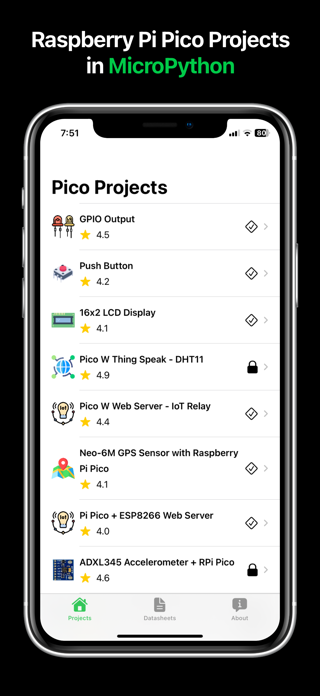 Pico Projects Screenshot 1 of 8