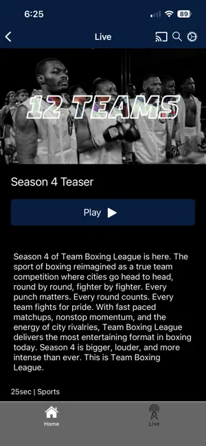Team Boxing League screenshot 4