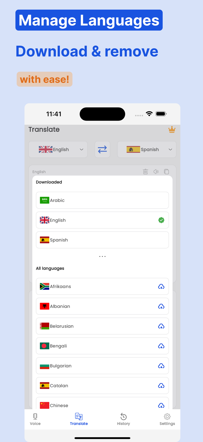 Translation voice and text