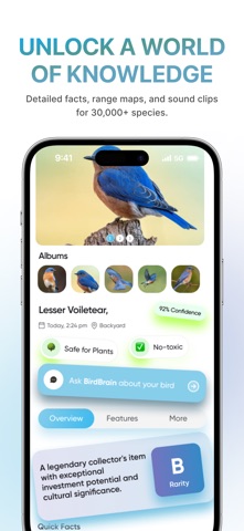 BirdBrain: Bird Identifier Screenshot 6 of 7