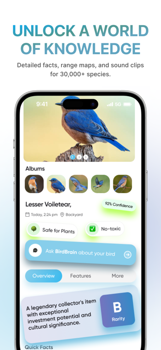 BirdBrain: Bird Identifier Screenshot 6 of 7