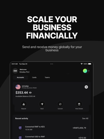 Platnova Business iPad screenshot