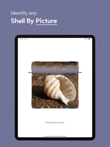 Shell Identifier - SI iPad screenshot