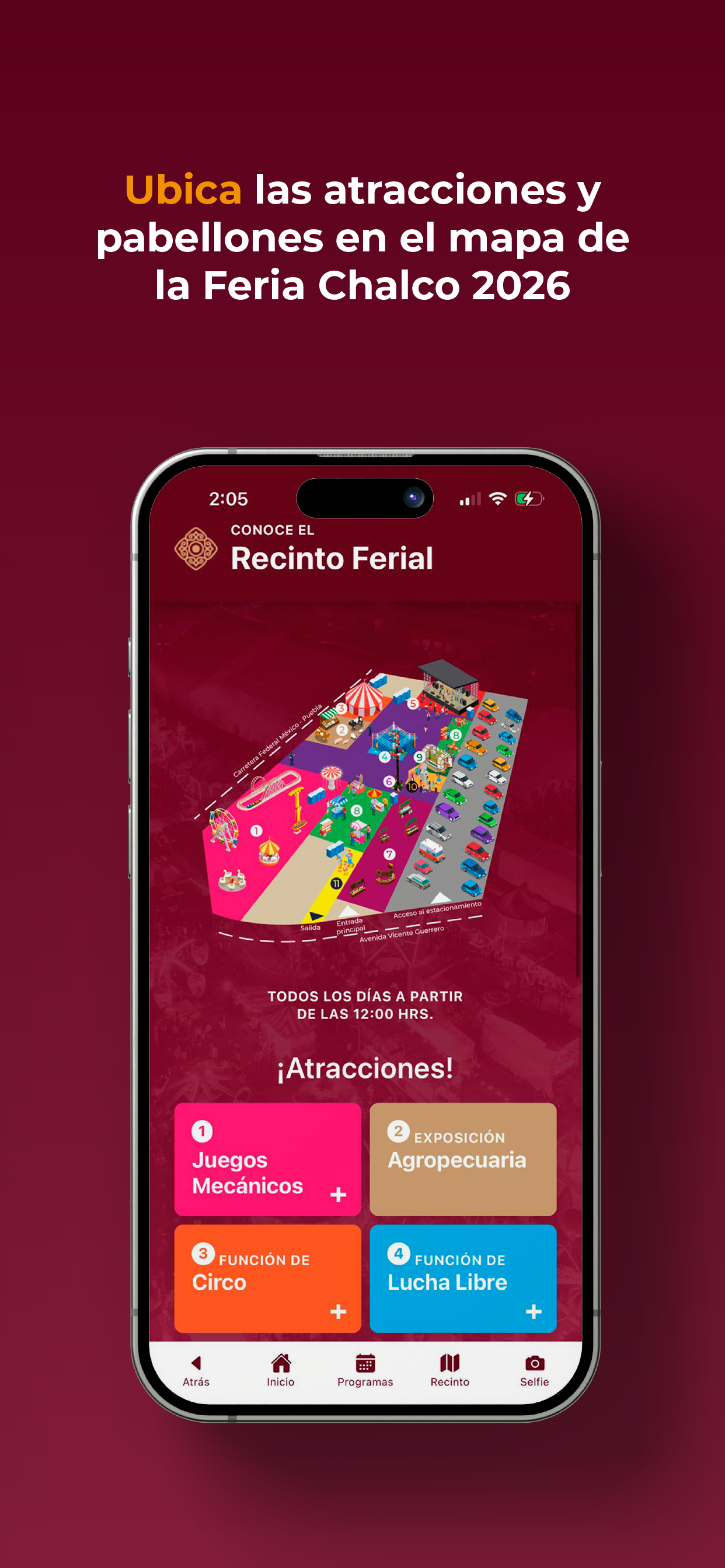 Feria Chalco screenshot 3