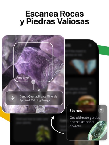 Lens AI: Identify Anything iPad screenshot 6