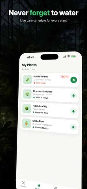 LeafLens: Plant Identifier AI screenshot 2