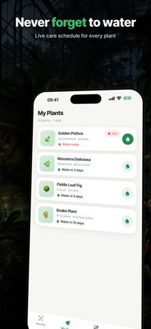 LeafLens: Plant Identifier AI iPhone screenshot