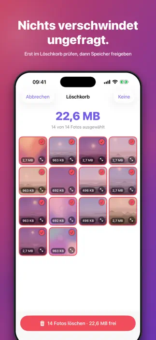 PhotoSweep — Screenshot 3