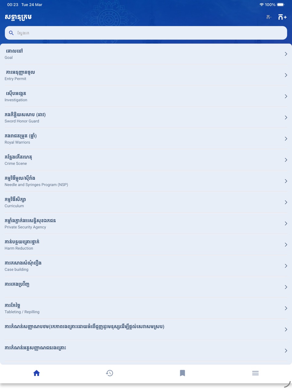 iPad screenshot